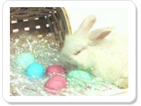 Easter ecard- Joy Of Easter
