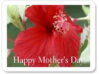Mothers Day ecard- Mother's Day Wishes