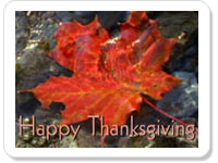 Thanksgiving ecard- Bounties Of Thanksgiving